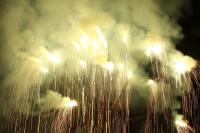 Mriga bete Utsava, Ashtavadhana Seva, Fire works at Panchavati